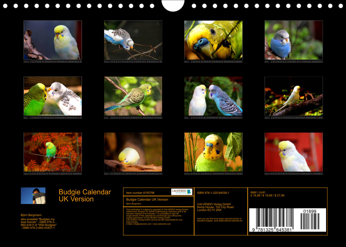 Budgie Calendar UK Version CALVENDO