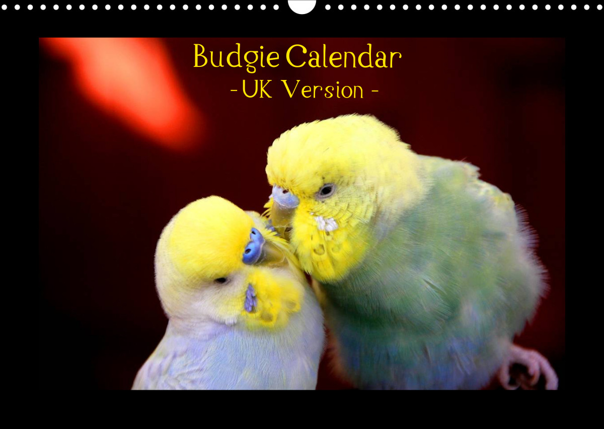 (Monthly calendar, 14 pages )