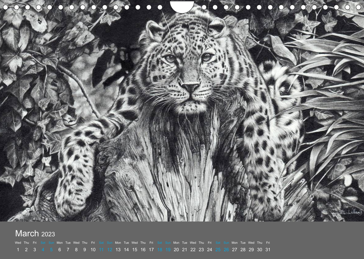 Calvendo Calendar — Mighty Fine Art Drawn Wild 2023, Kalender 2023