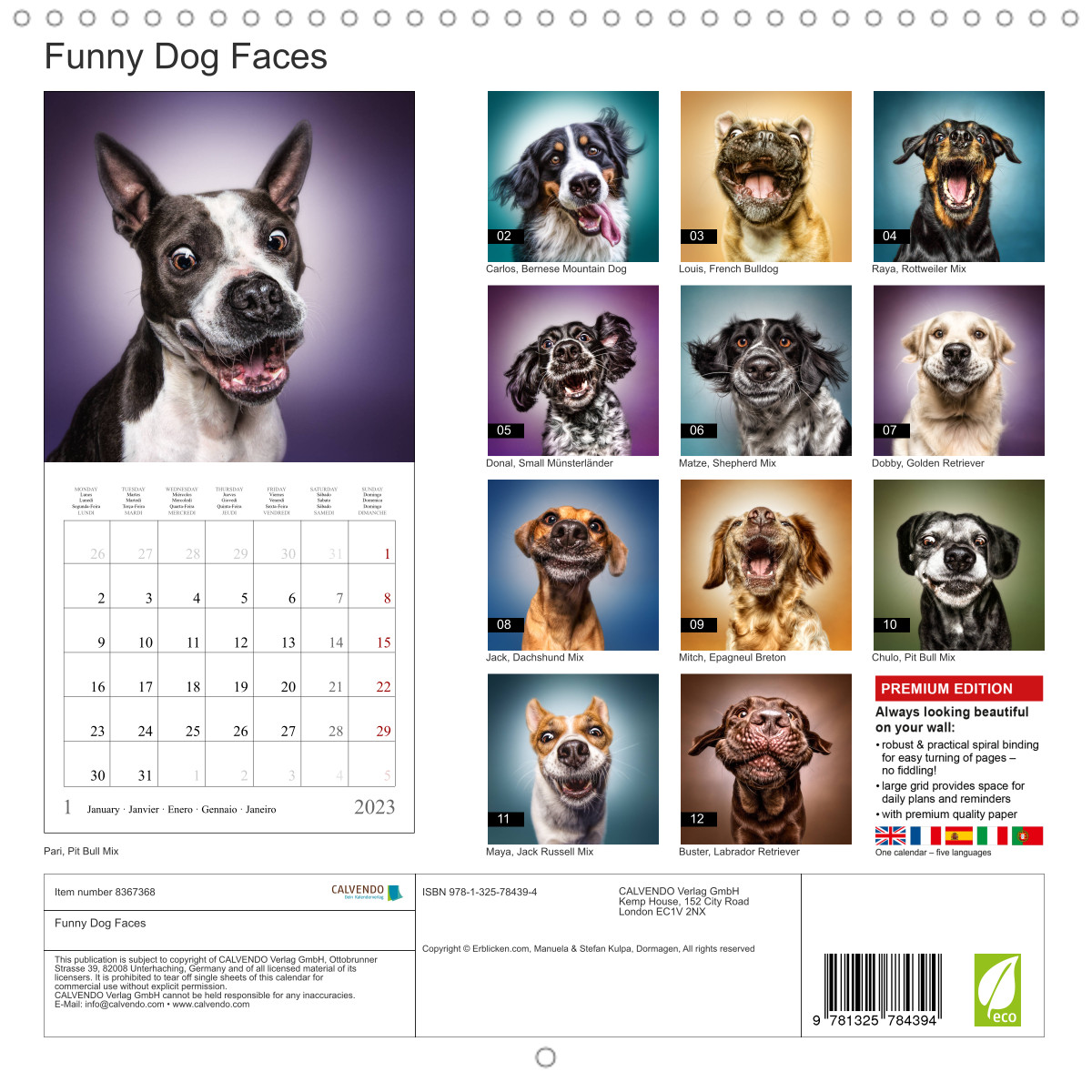 Funny Dog Faces - CALVENDO