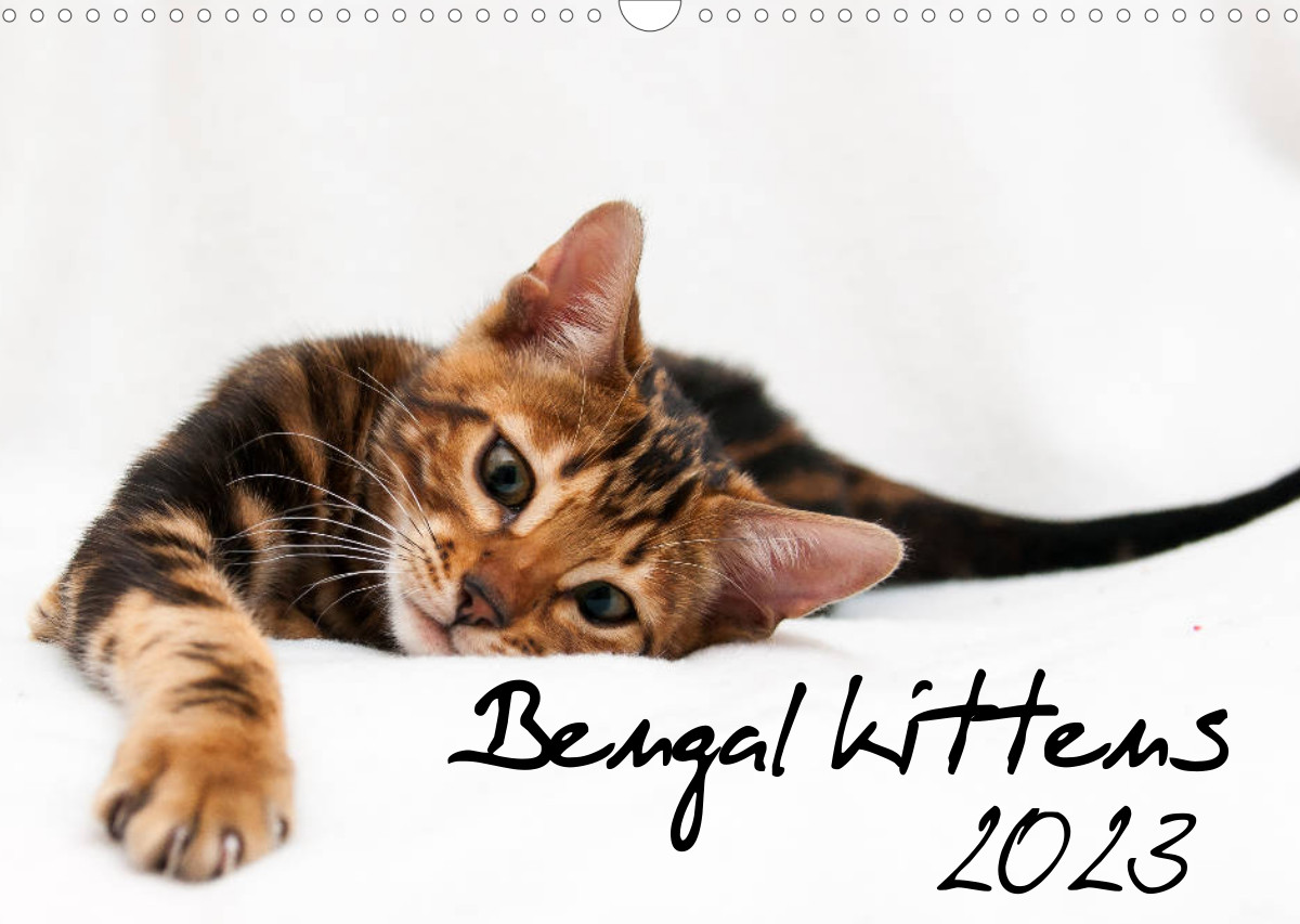 Bengal rosetted