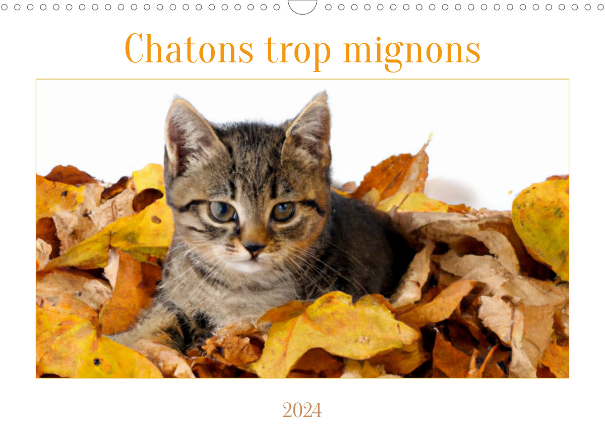  Calendrier 2024 Chats d'Amour - Chatons Mignons