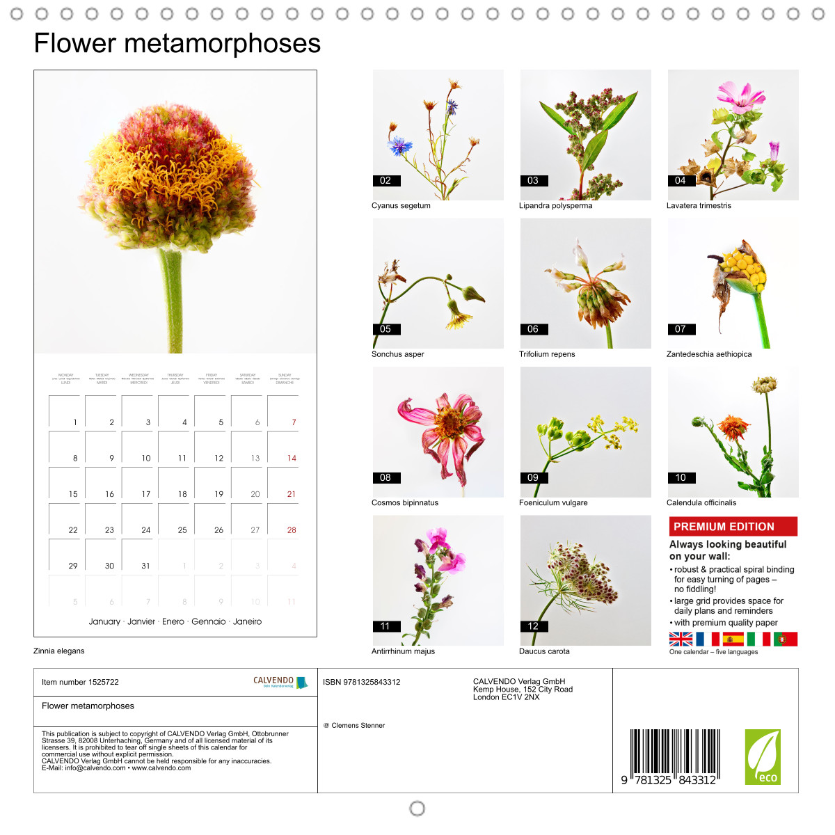 Metamorphosis Calendar