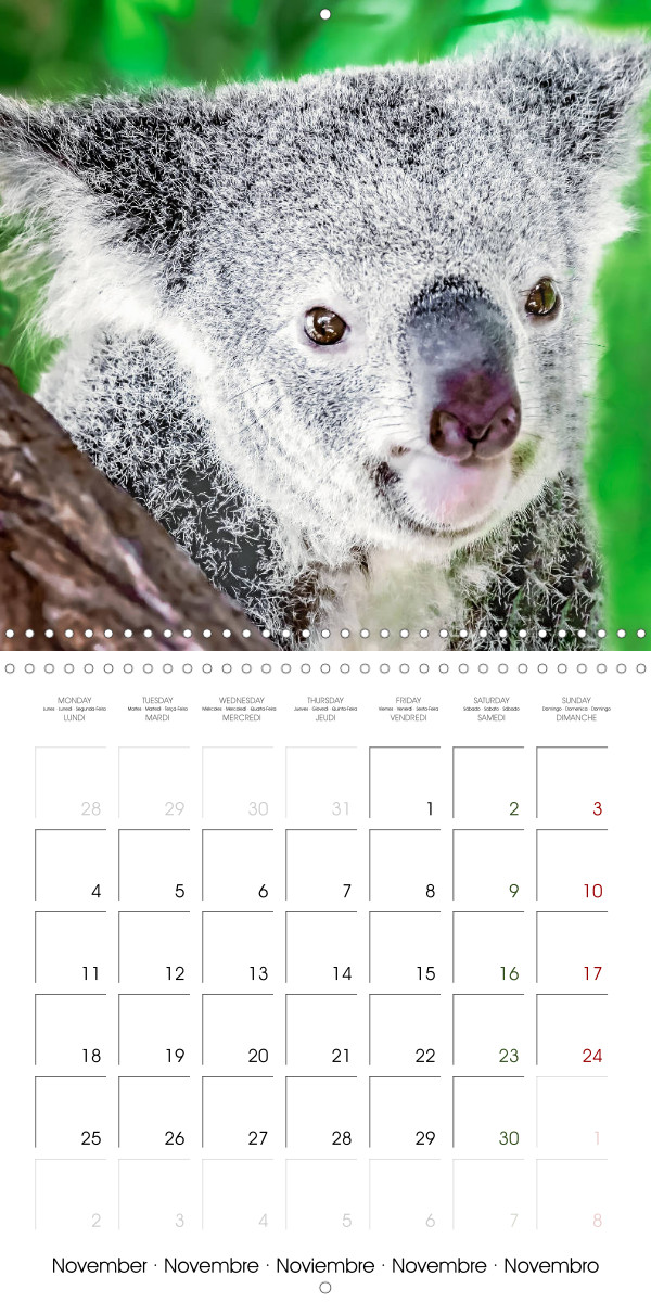The most beautiful calendars for any occasion
