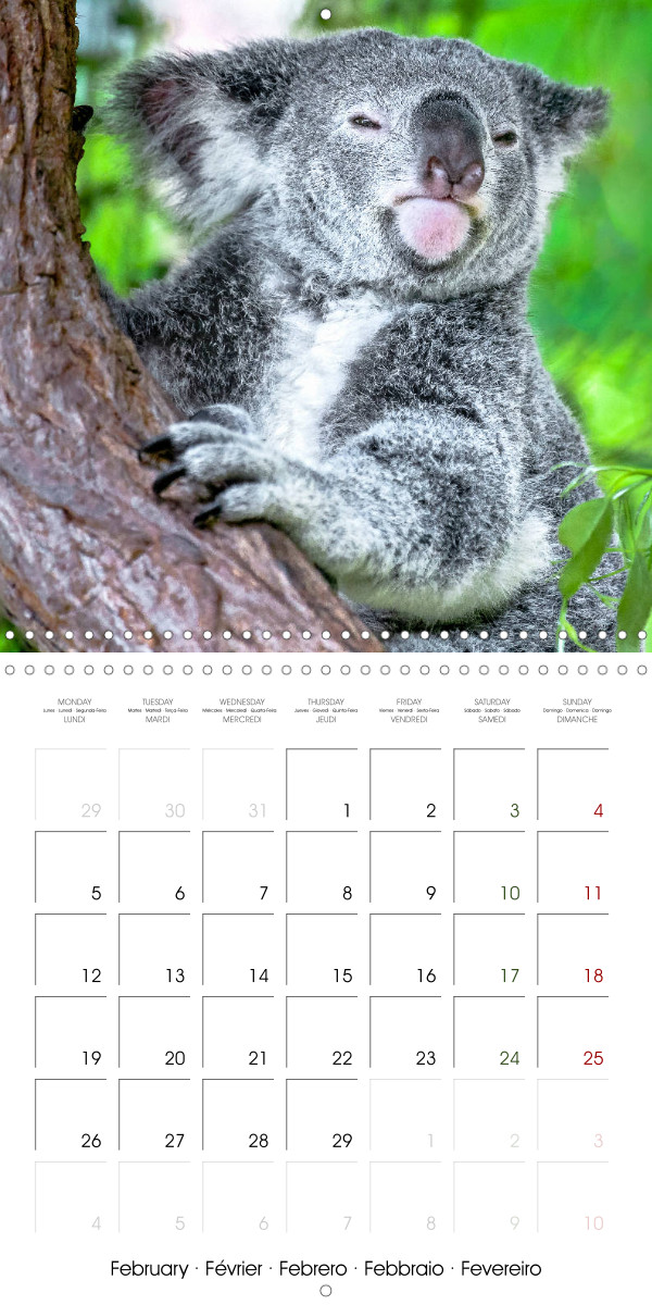 The most beautiful calendars for any occasion