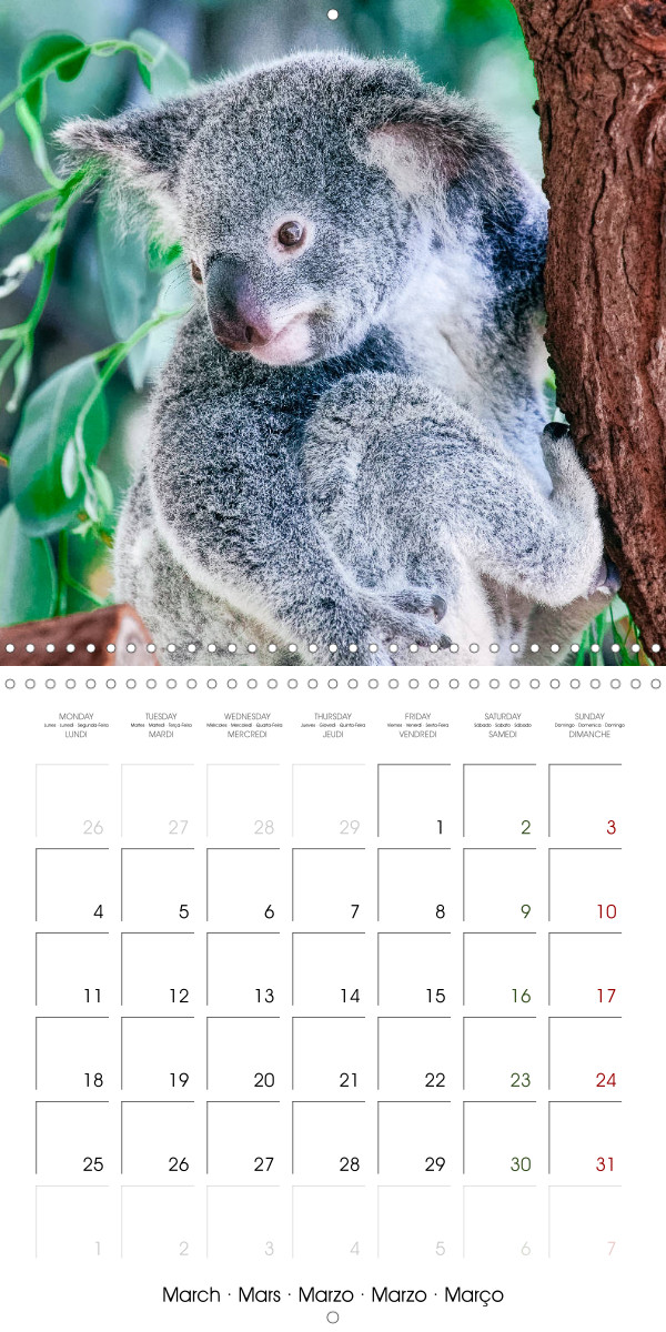 The most beautiful calendars for any occasion