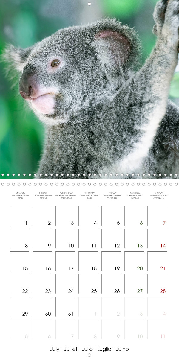 The most beautiful calendars for any occasion