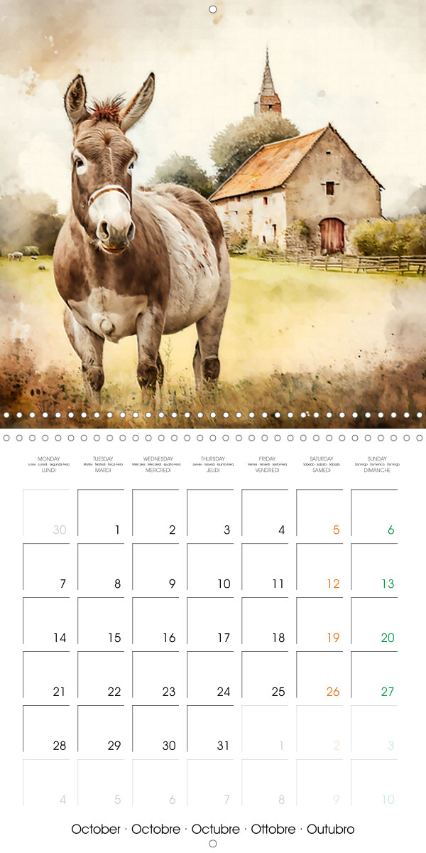 The most beautiful calendars for any occasion