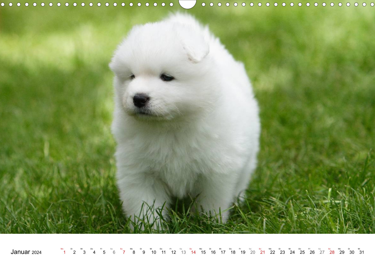 4.0.0Die schönsten Kalender, Puzzle und Leinwände für jeden Anlass