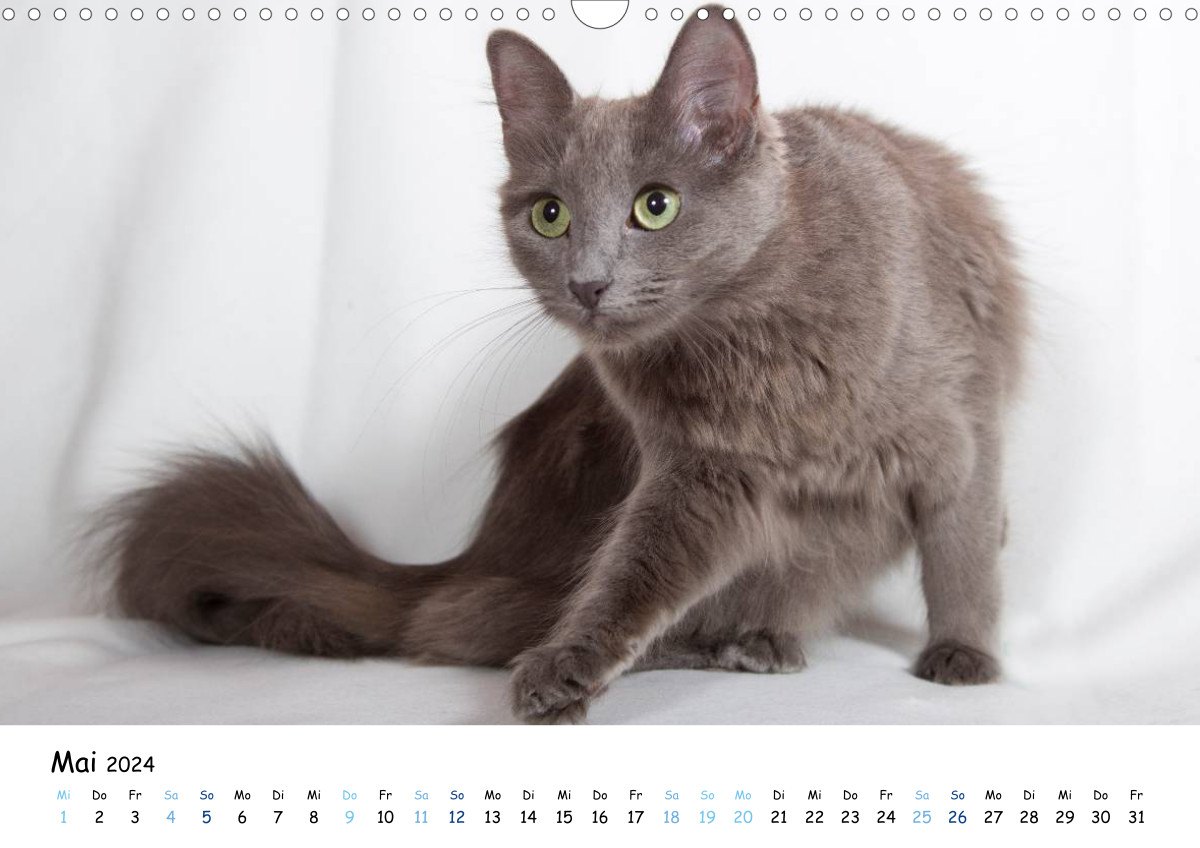 Die schönsten Kalender, Puzzle und Leinwände für jeden Anlass