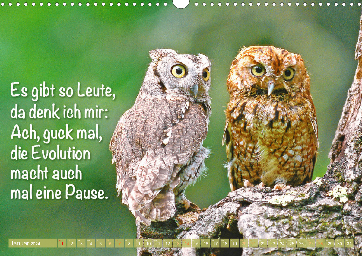 4.0.0Die schönsten Kalender, Puzzle und Leinwände für jeden Anlass
