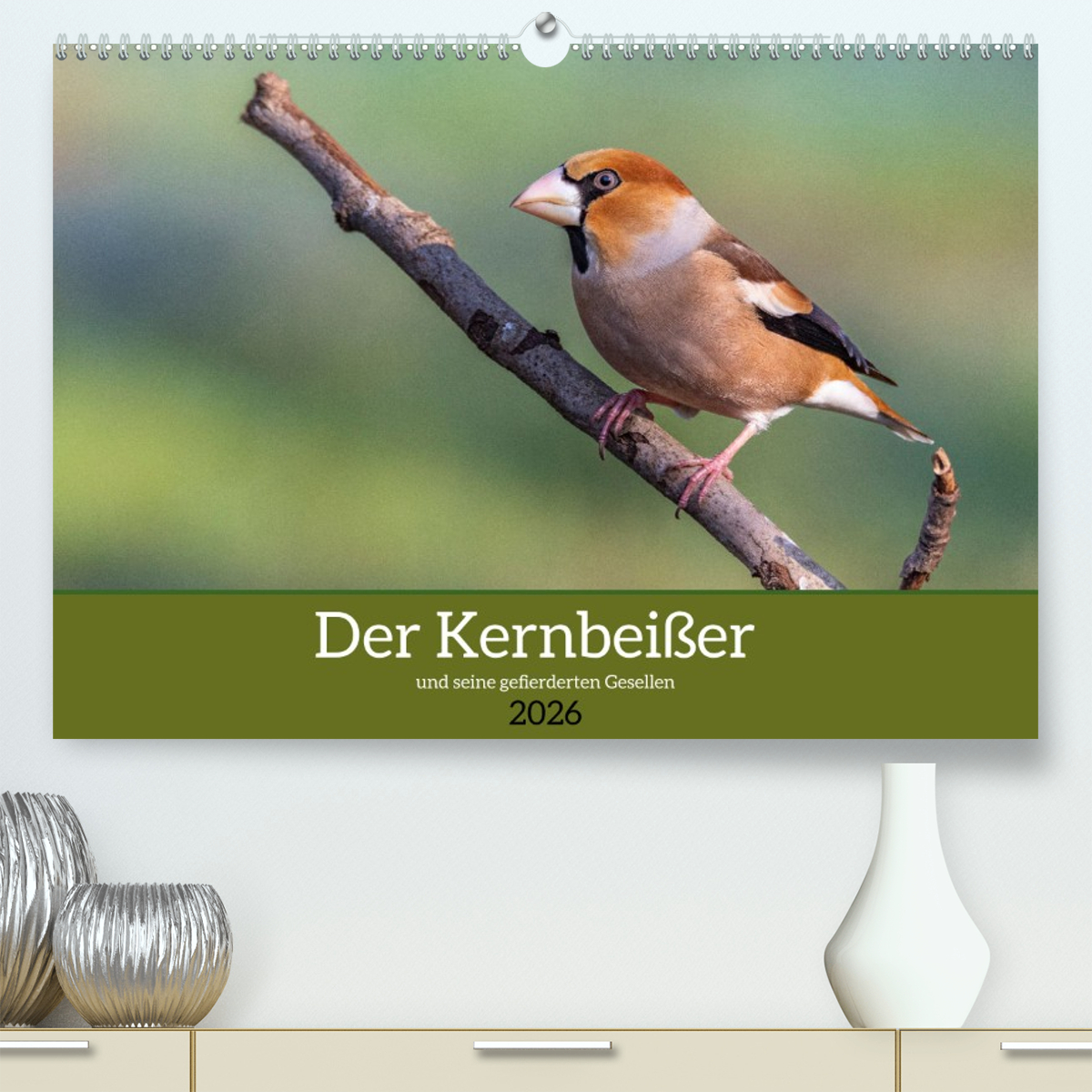 Der Kernbeißer und seine gefiederten Gesellen