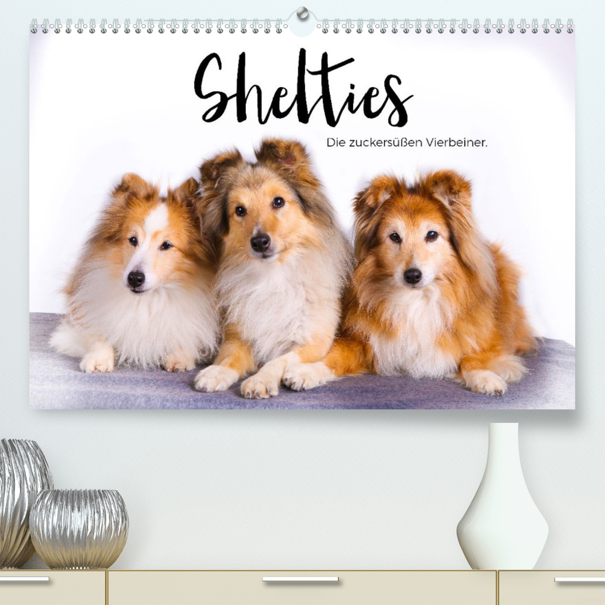 Shelties - Die zuckersüßen Vierbeiner.