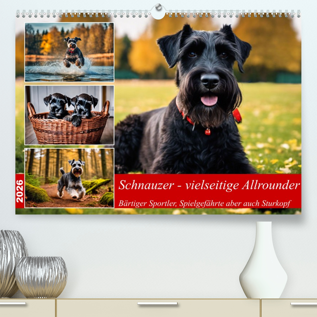 Schnauzer - vielseitige Allrounder