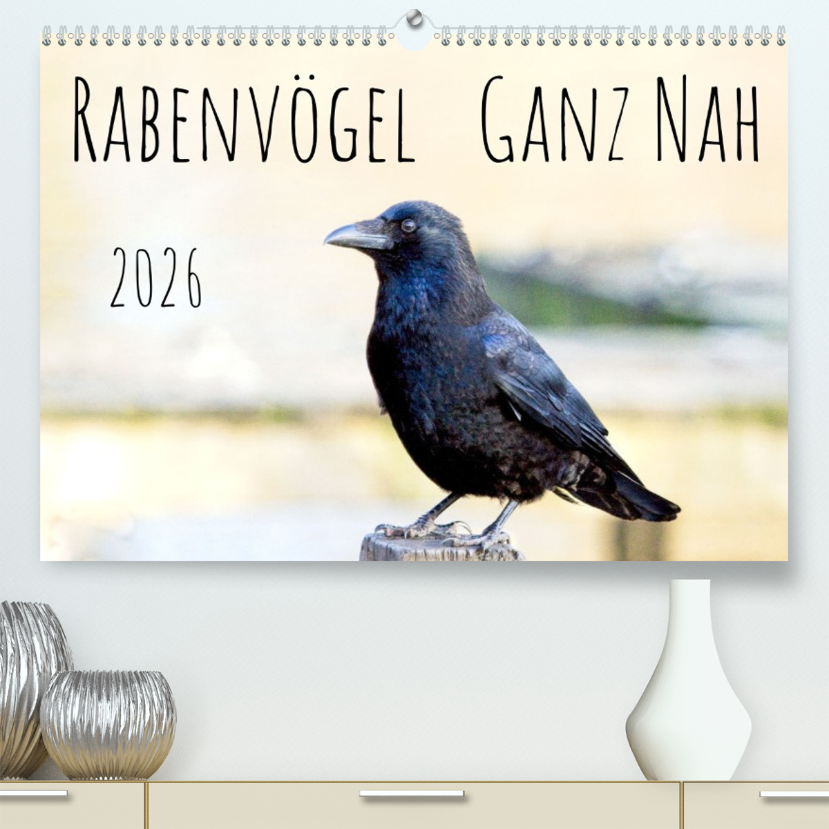 Rabenvögel - ganz nah