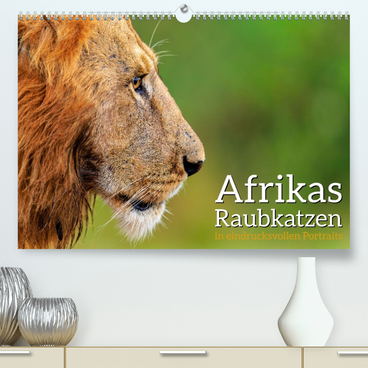 Afrikas Raubkatzen in eindrucksvollen Portraits