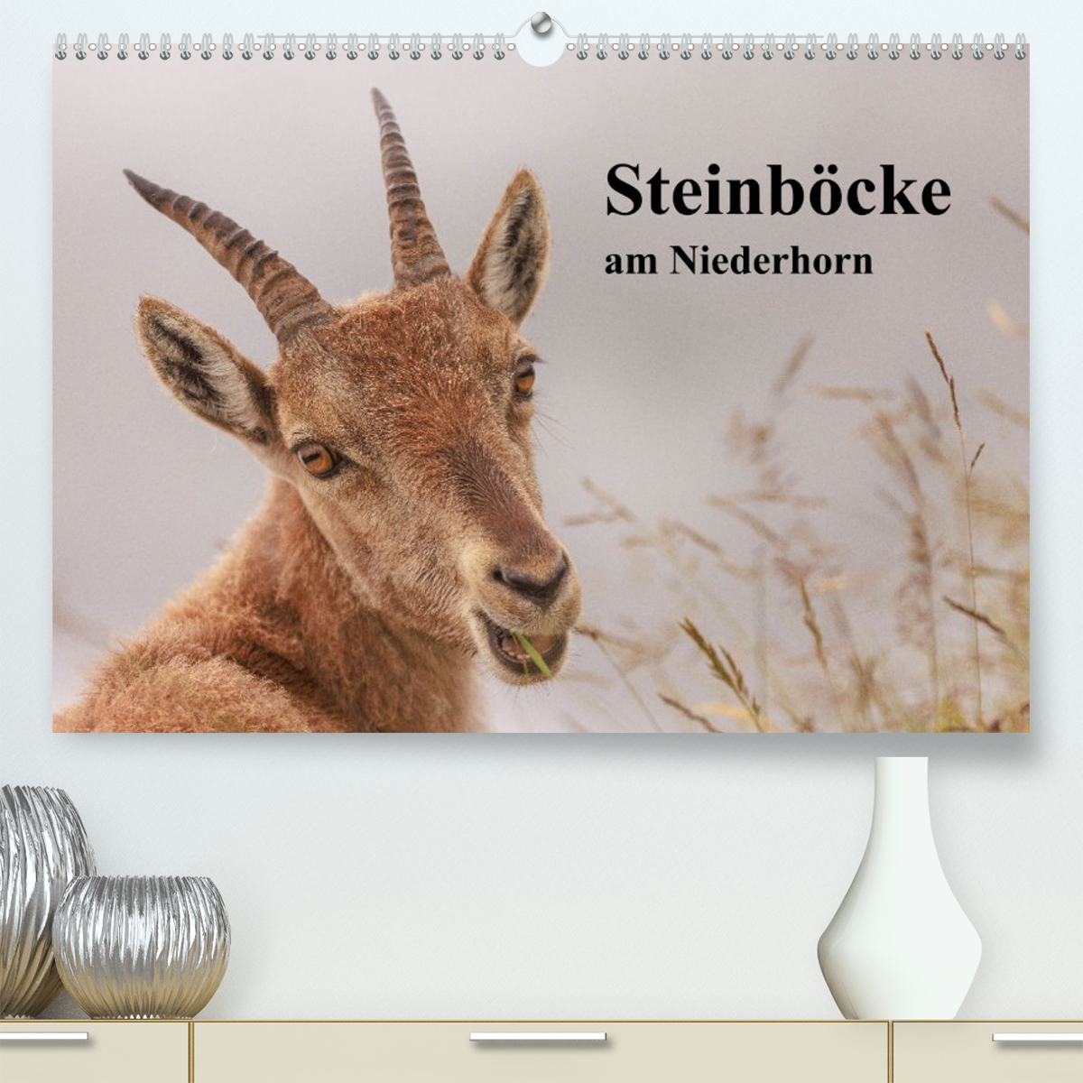 Steinböcke am Niederhorn