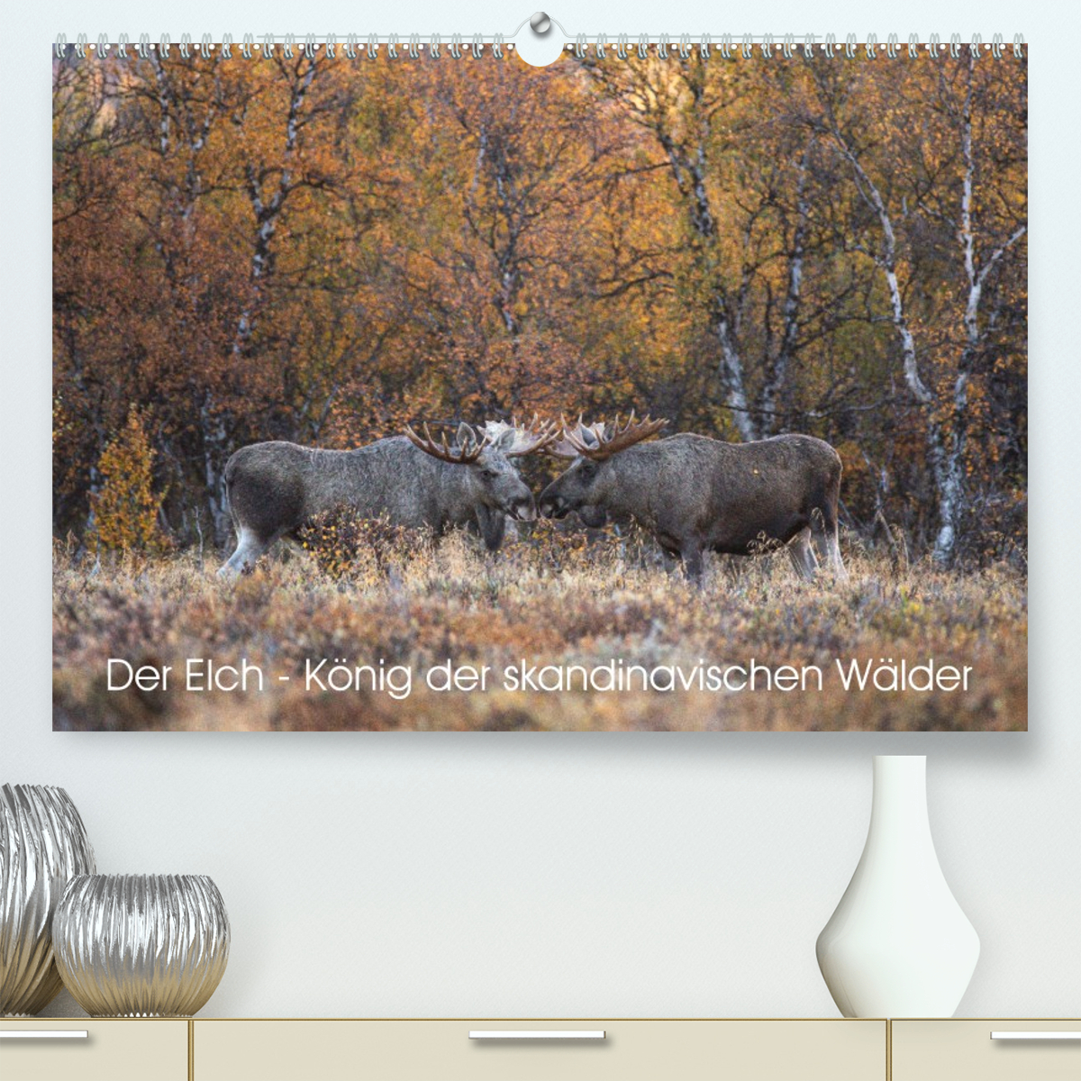 Der Elch - König der skandinavischen Wälder