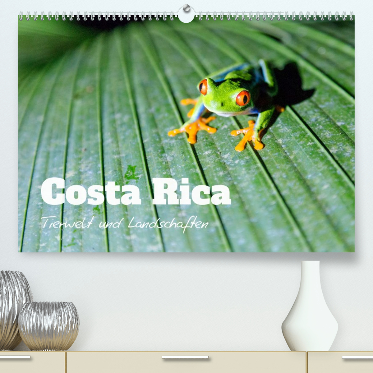 Costa Rica - Tierwelt und Landschaften