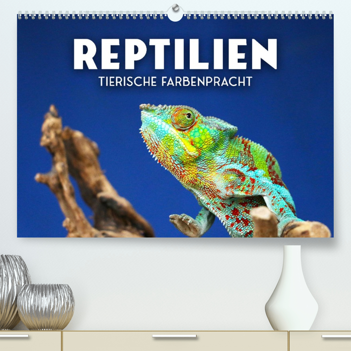 Reptilien - Tierische Farbenpracht