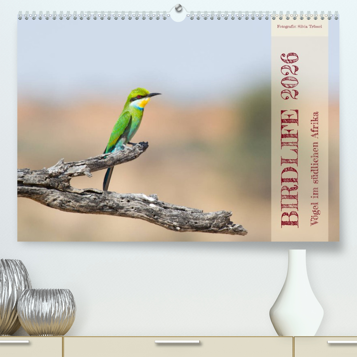 Birdlife - Vögel im südlichen Afrika
