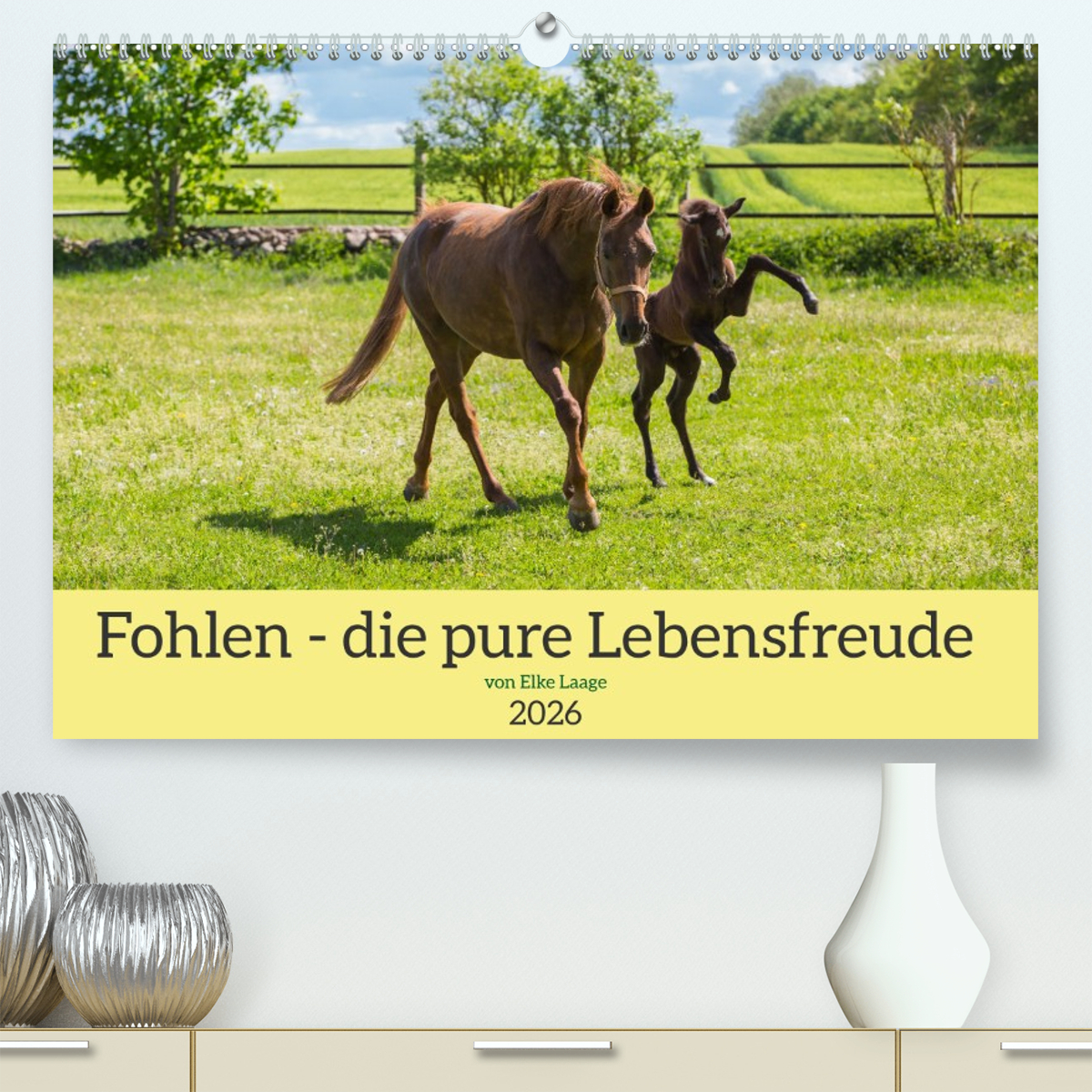 Fohlen - die pure Lebensfreude