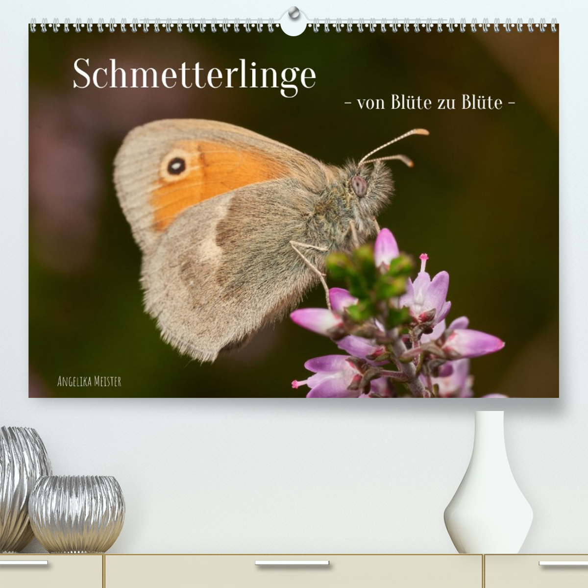 Schmetterlinge - von Blüte zu Blüte -