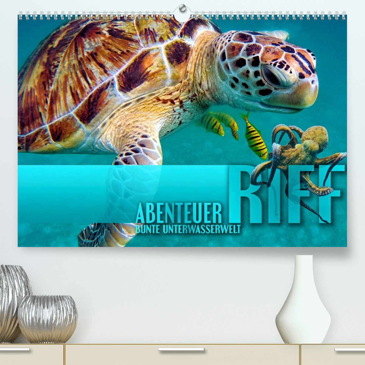 Abenteuer Riff - bunte Unterwasserwelt