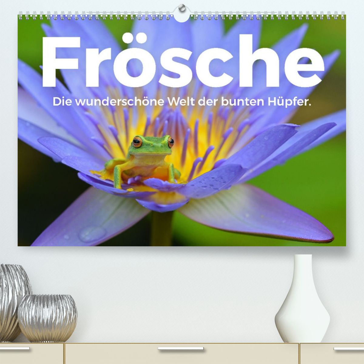 Frösche - Die wunderschöne Welt der bunten Hüpfer.