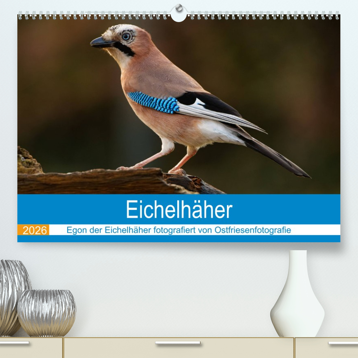 Eichelhäher - Egon der Eichelhäher fotografiert von Ostfriesenfotografie
