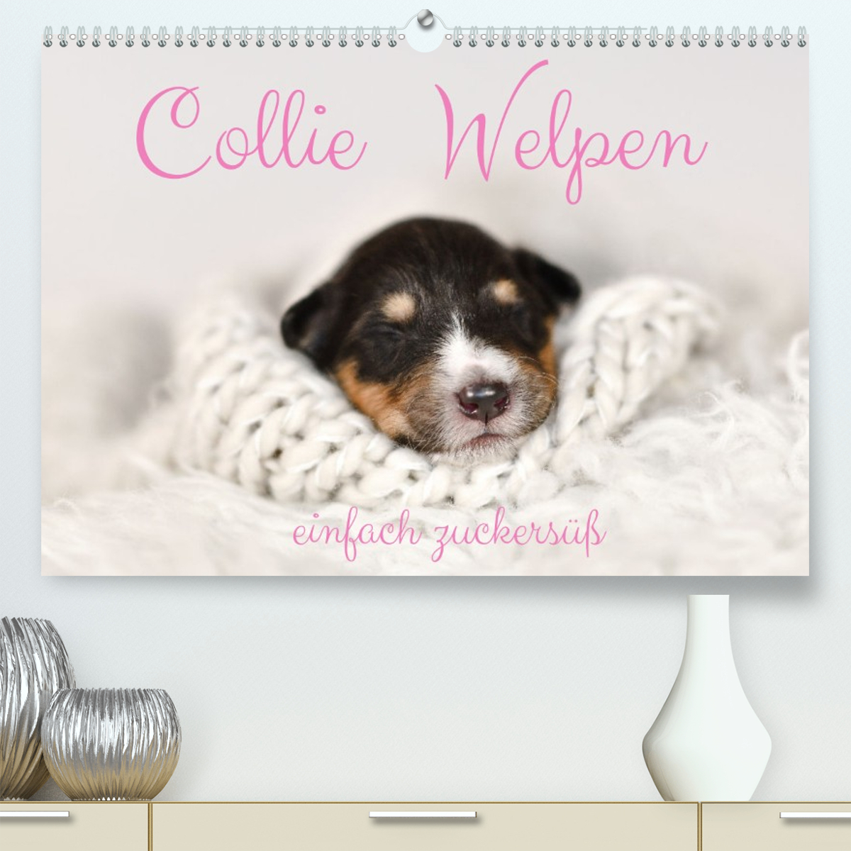 Collie Welpen einfach zuckersüß