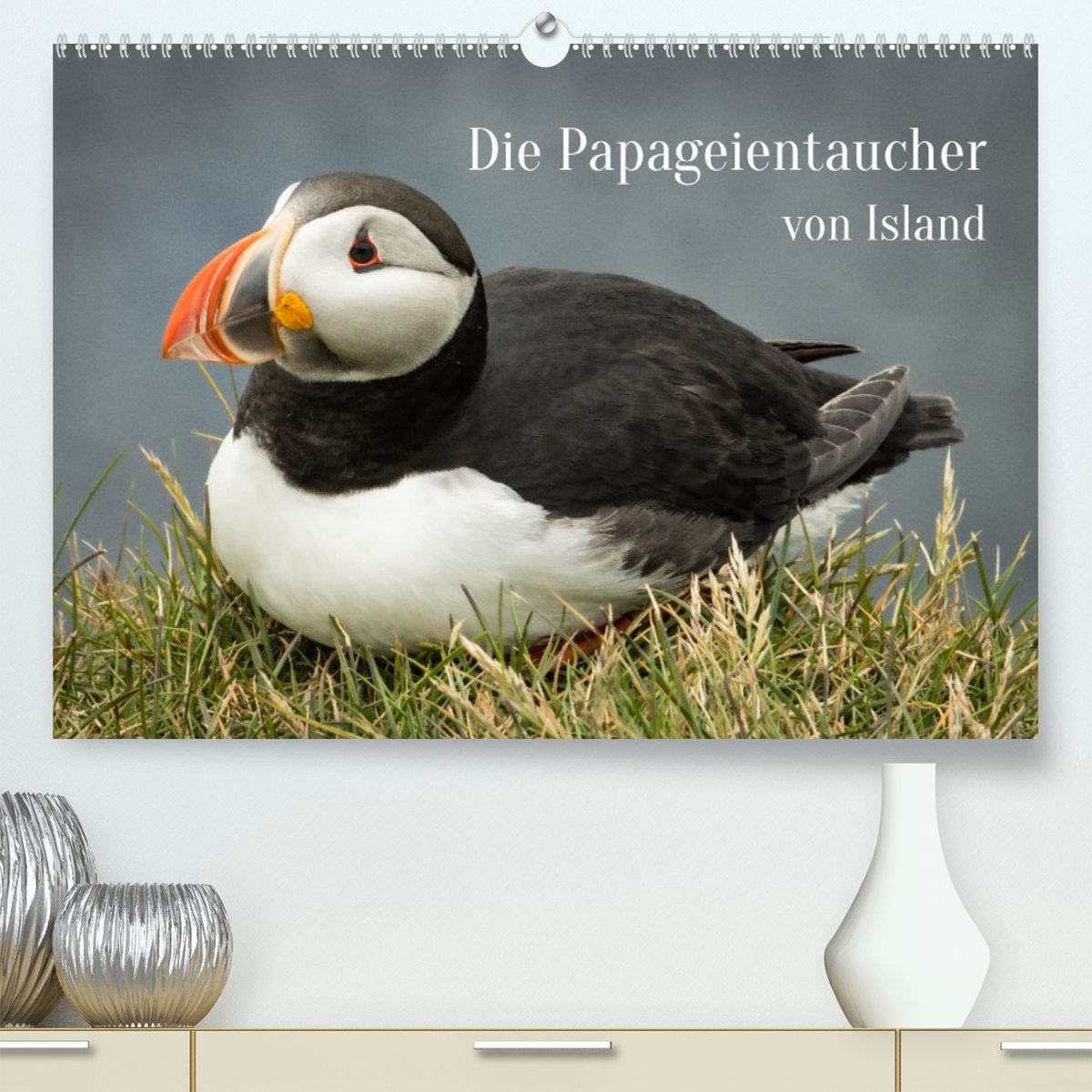 Die Papageientaucher von Island