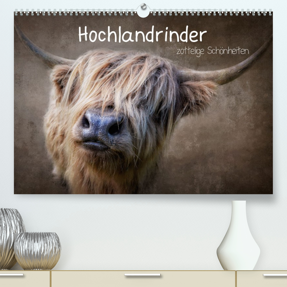 Hochlandrinder - Zottelige Schönheiten