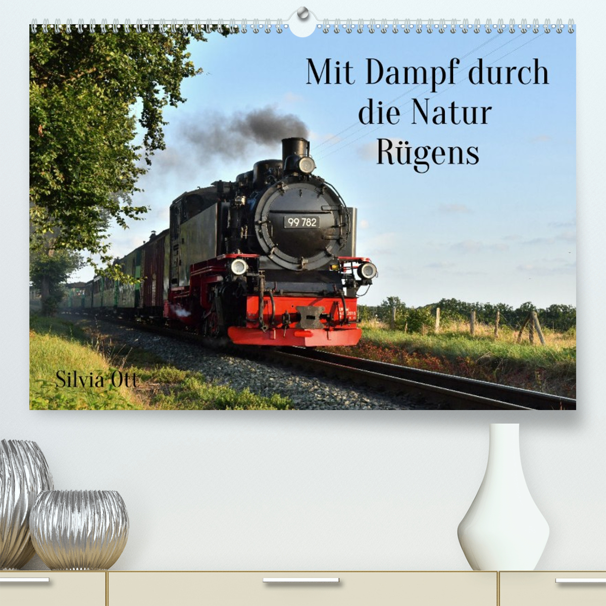 Mit Dampf durch die Natur Rügens