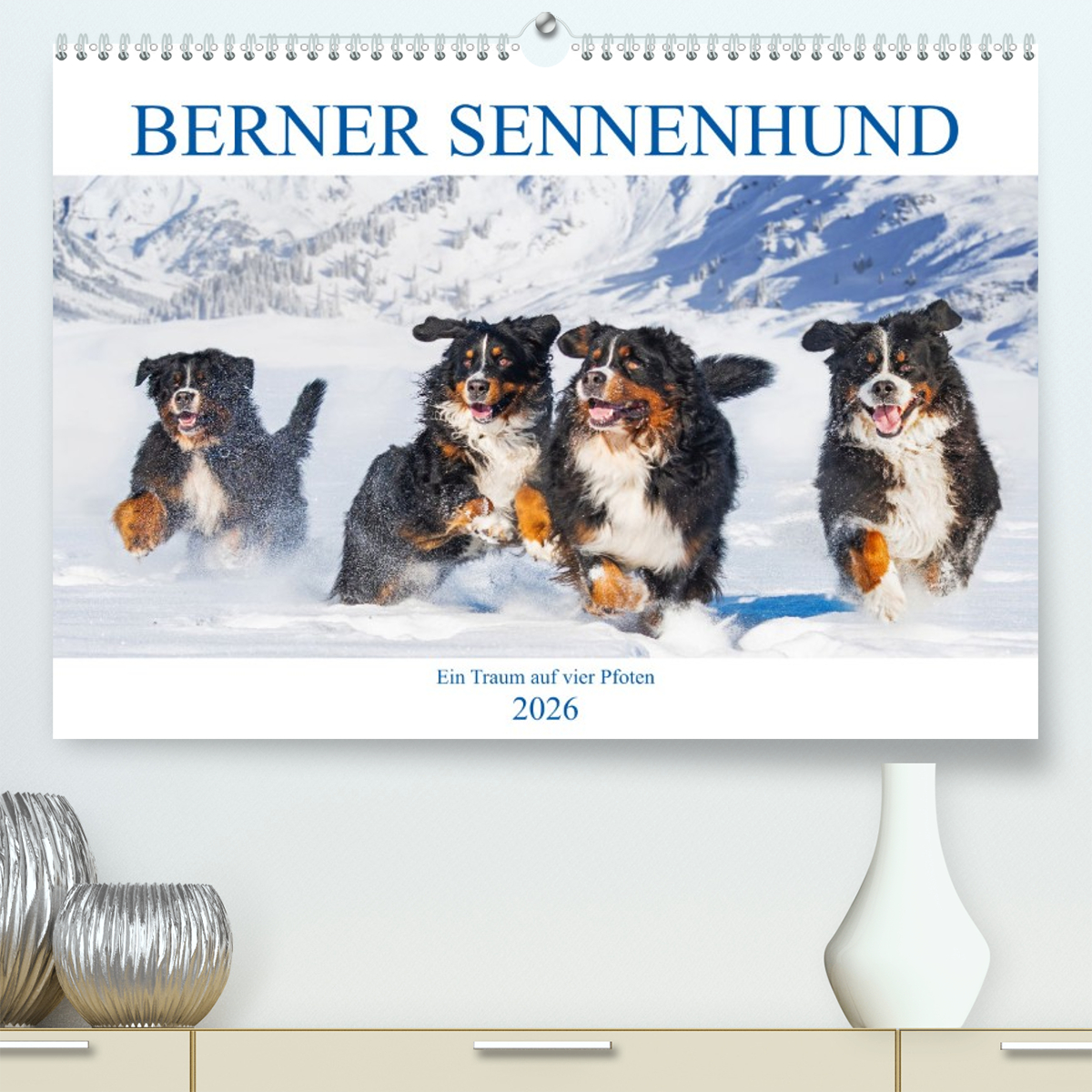 Berner Sennenhund - Ein Traum auf vier Pfoten
