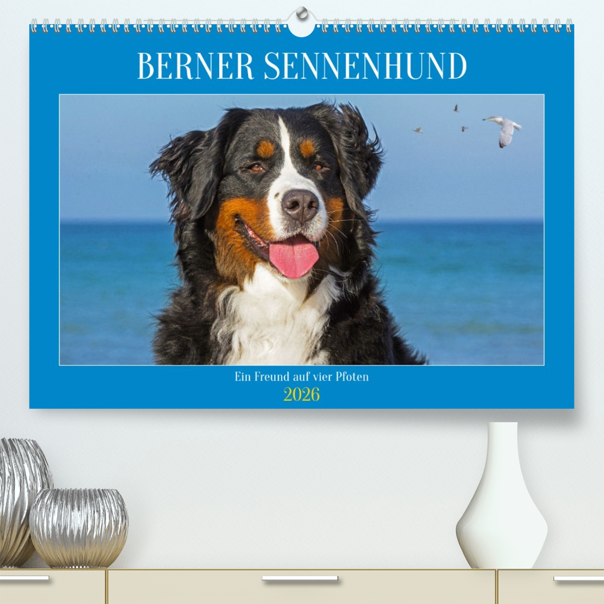 Berner Sennenhund - Ein Freund auf vier Pfoten