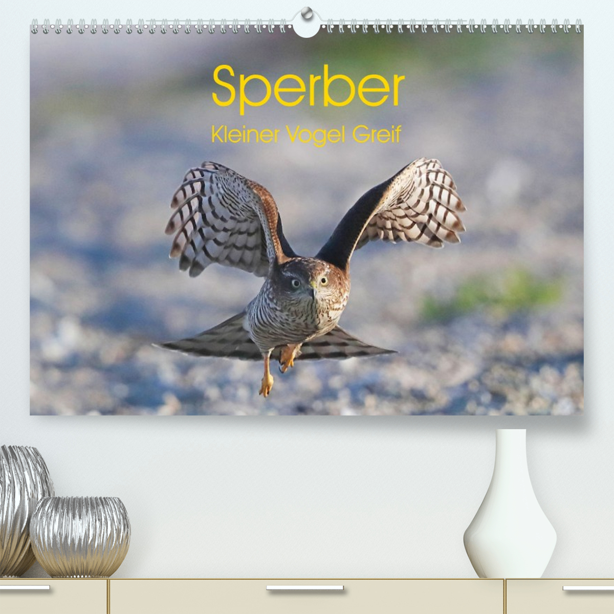 Sperber - Kleiner Vogel Greif