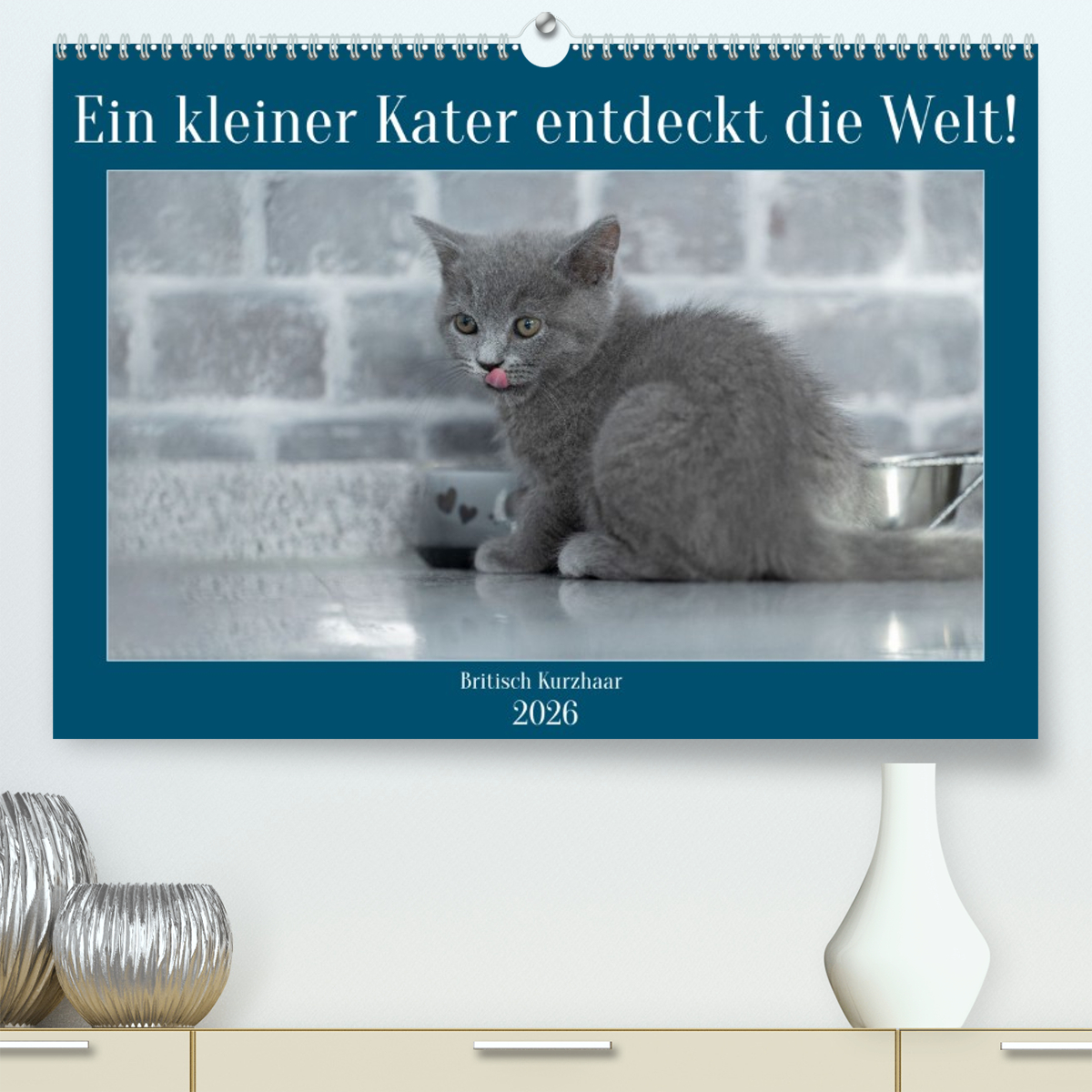 Ein kleiner Kater entdeckt die Welt!