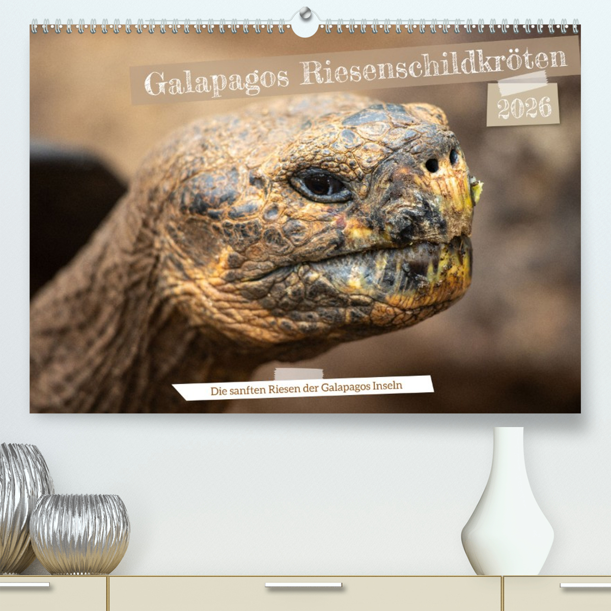 Die Riesenschildkröten der Galapagos Inseln
