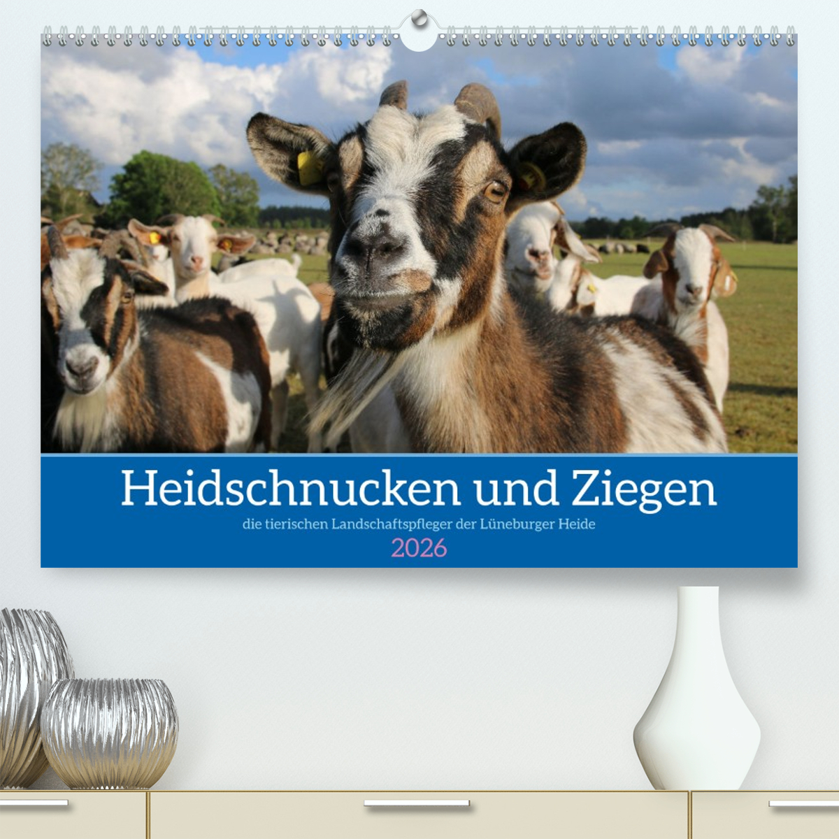 Heidschnucken und Ziegen die tierischen Landschaftspfleger der Lüneburger Heide