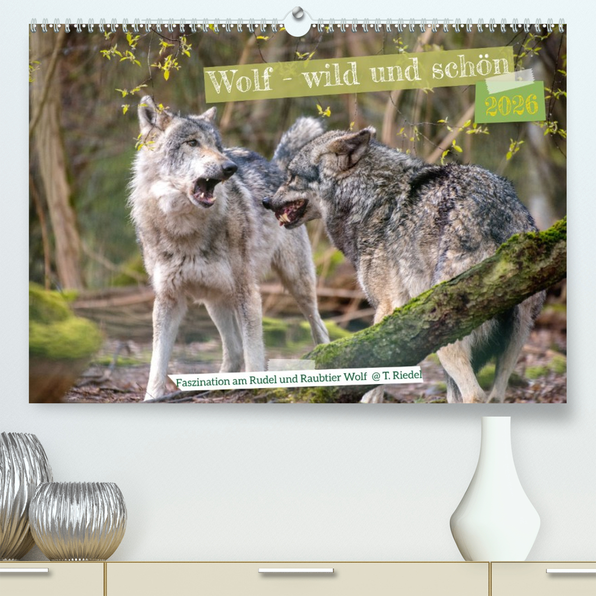 Wolf - wild und schön