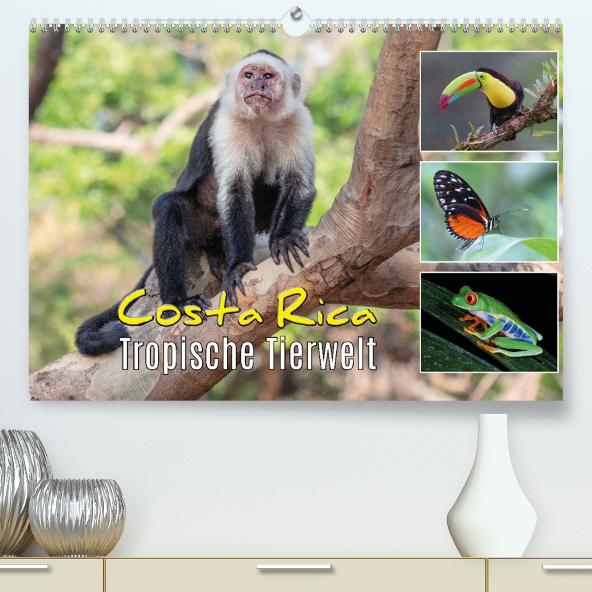 Costa Rica - Tropische Tierwelt