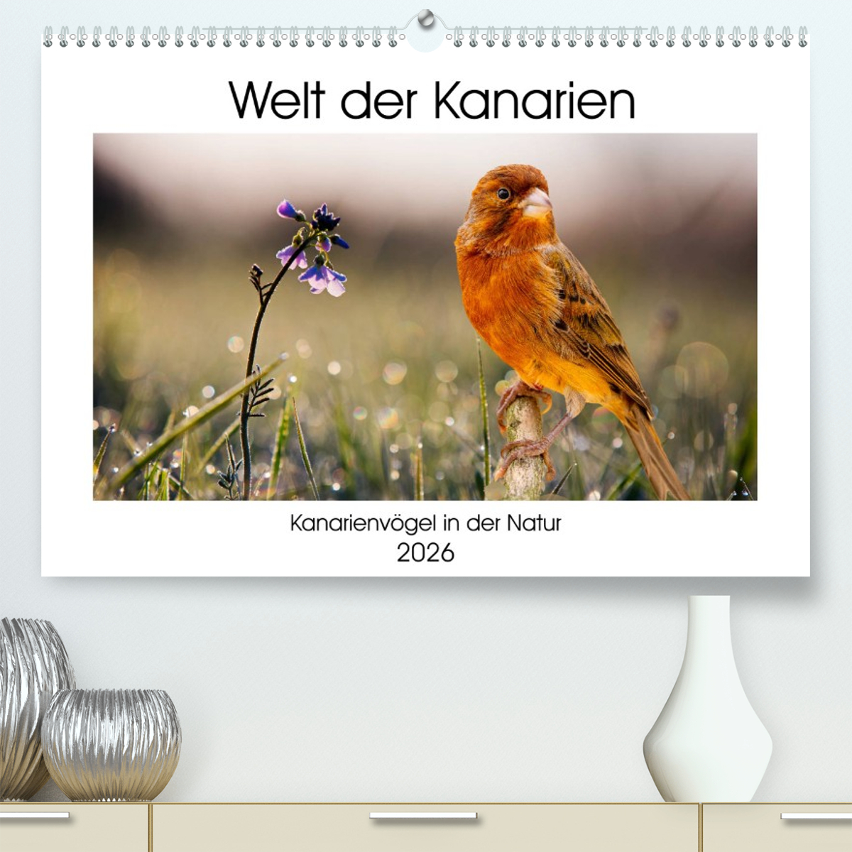 Welt der Kanarien