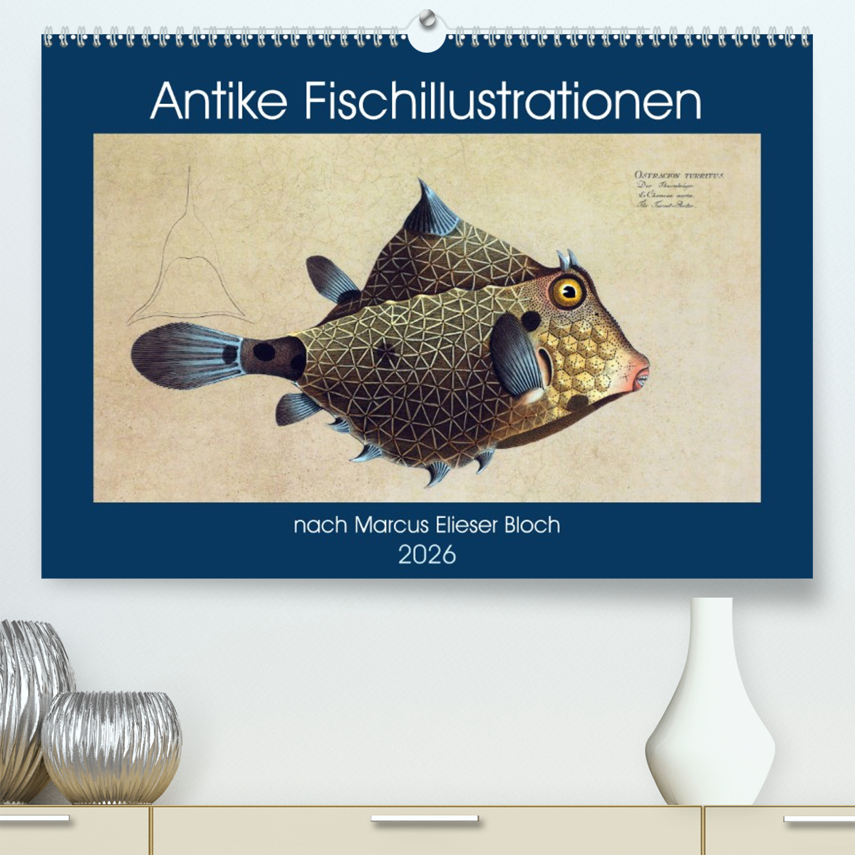 Antike Fischillustrationen nach Marcus Elieser Bloch