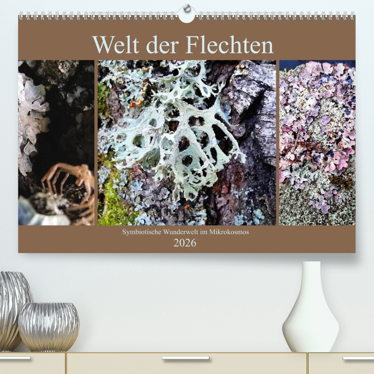 Welt der Flechten