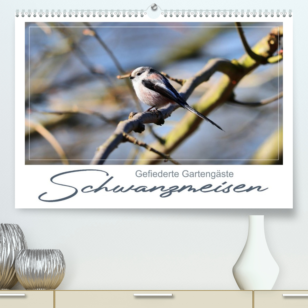 Gefiederte Gartengäste, Schwanzmeisen