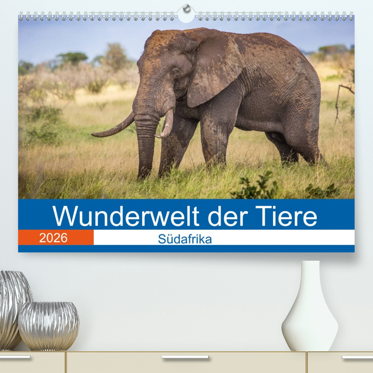 Wunderwelt der Tiere - Südafrika
