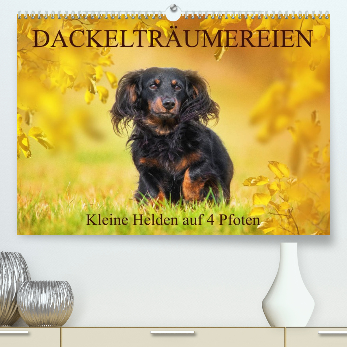 Dackelträumereien - Kleine Helden auf 4 Pfoten