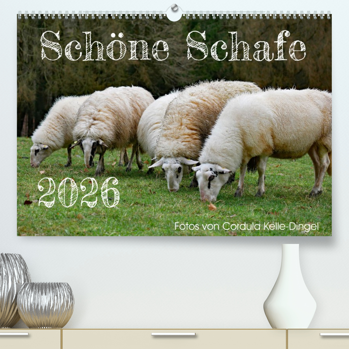 Schöne Schafe
