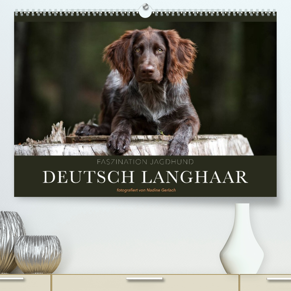Faszination Jagdhund - Deutsch Langhaar